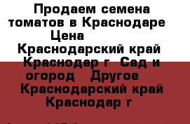 Продаем семена томатов в Краснодаре › Цена ­ 2 300 - Краснодарский край, Краснодар г. Сад и огород » Другое   . Краснодарский край,Краснодар г.